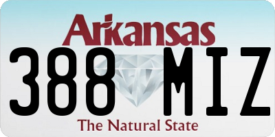 AR license plate 388MIZ