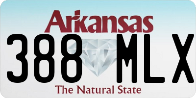 AR license plate 388MLX