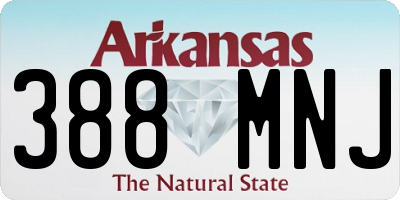 AR license plate 388MNJ