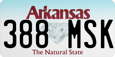 AR license plate 388MSK