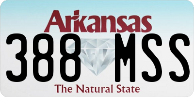 AR license plate 388MSS