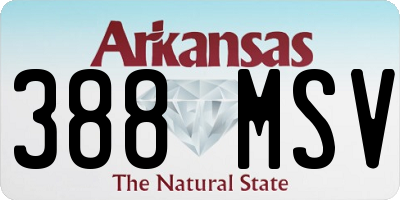 AR license plate 388MSV