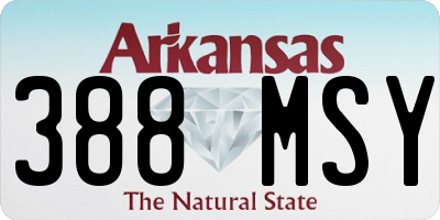 AR license plate 388MSY