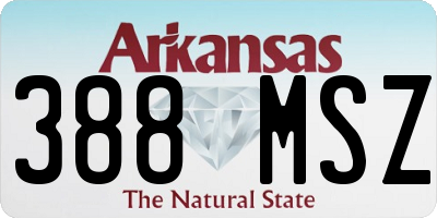 AR license plate 388MSZ
