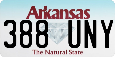AR license plate 388UNY