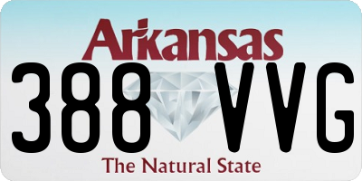 AR license plate 388VVG