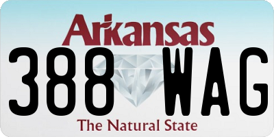 AR license plate 388WAG