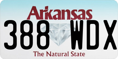 AR license plate 388WDX