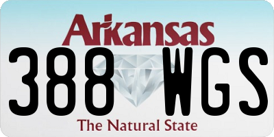 AR license plate 388WGS