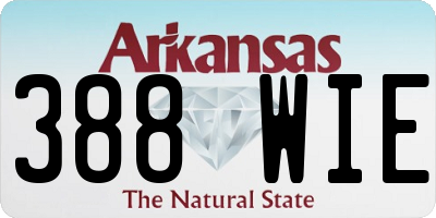 AR license plate 388WIE