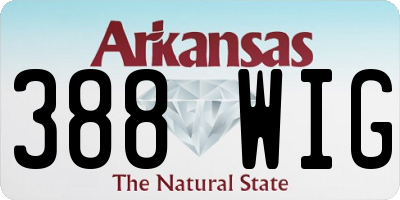 AR license plate 388WIG