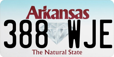 AR license plate 388WJE