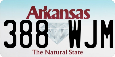 AR license plate 388WJM