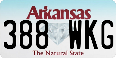 AR license plate 388WKG