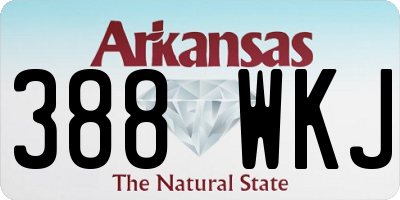 AR license plate 388WKJ