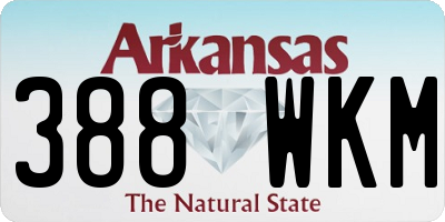 AR license plate 388WKM