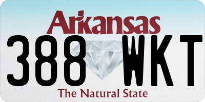 AR license plate 388WKT