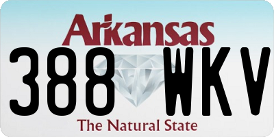AR license plate 388WKV