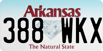 AR license plate 388WKX