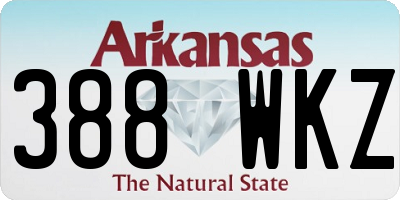 AR license plate 388WKZ