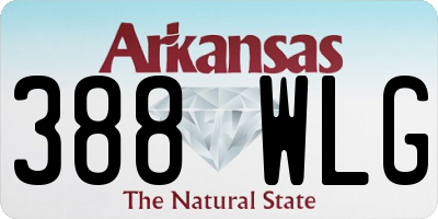 AR license plate 388WLG