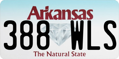 AR license plate 388WLS