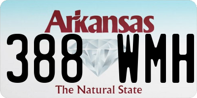 AR license plate 388WMH