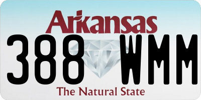 AR license plate 388WMM