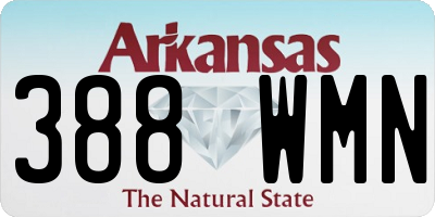 AR license plate 388WMN