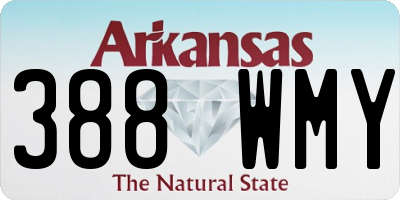 AR license plate 388WMY