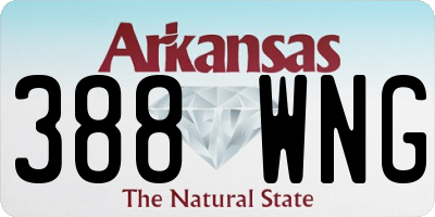 AR license plate 388WNG