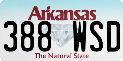 AR license plate 388WSD