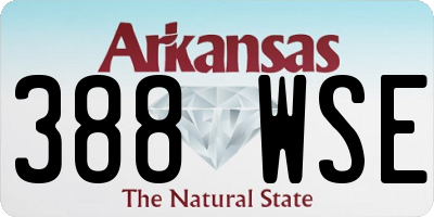 AR license plate 388WSE