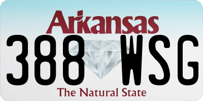 AR license plate 388WSG