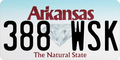 AR license plate 388WSK