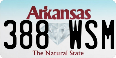 AR license plate 388WSM