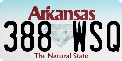 AR license plate 388WSQ