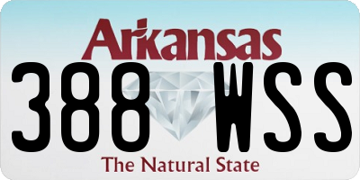 AR license plate 388WSS