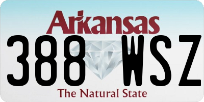 AR license plate 388WSZ