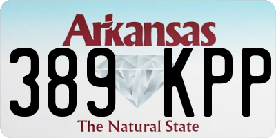 AR license plate 389KPP