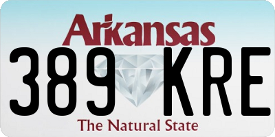 AR license plate 389KRE