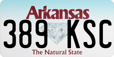 AR license plate 389KSC