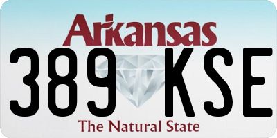 AR license plate 389KSE