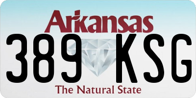 AR license plate 389KSG
