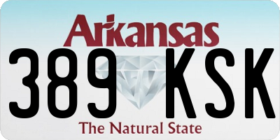 AR license plate 389KSK