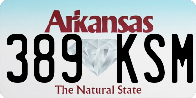 AR license plate 389KSM