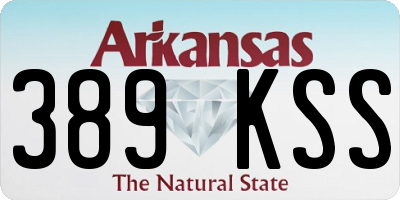 AR license plate 389KSS