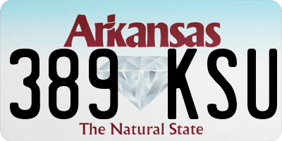 AR license plate 389KSU