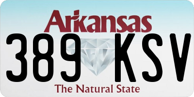 AR license plate 389KSV