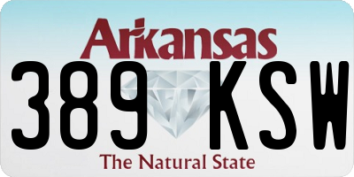 AR license plate 389KSW